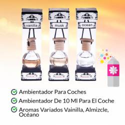 LOTE 12 FRAGANCIA...