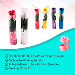 LOTE 24 PÉTALOS DE FLORES...